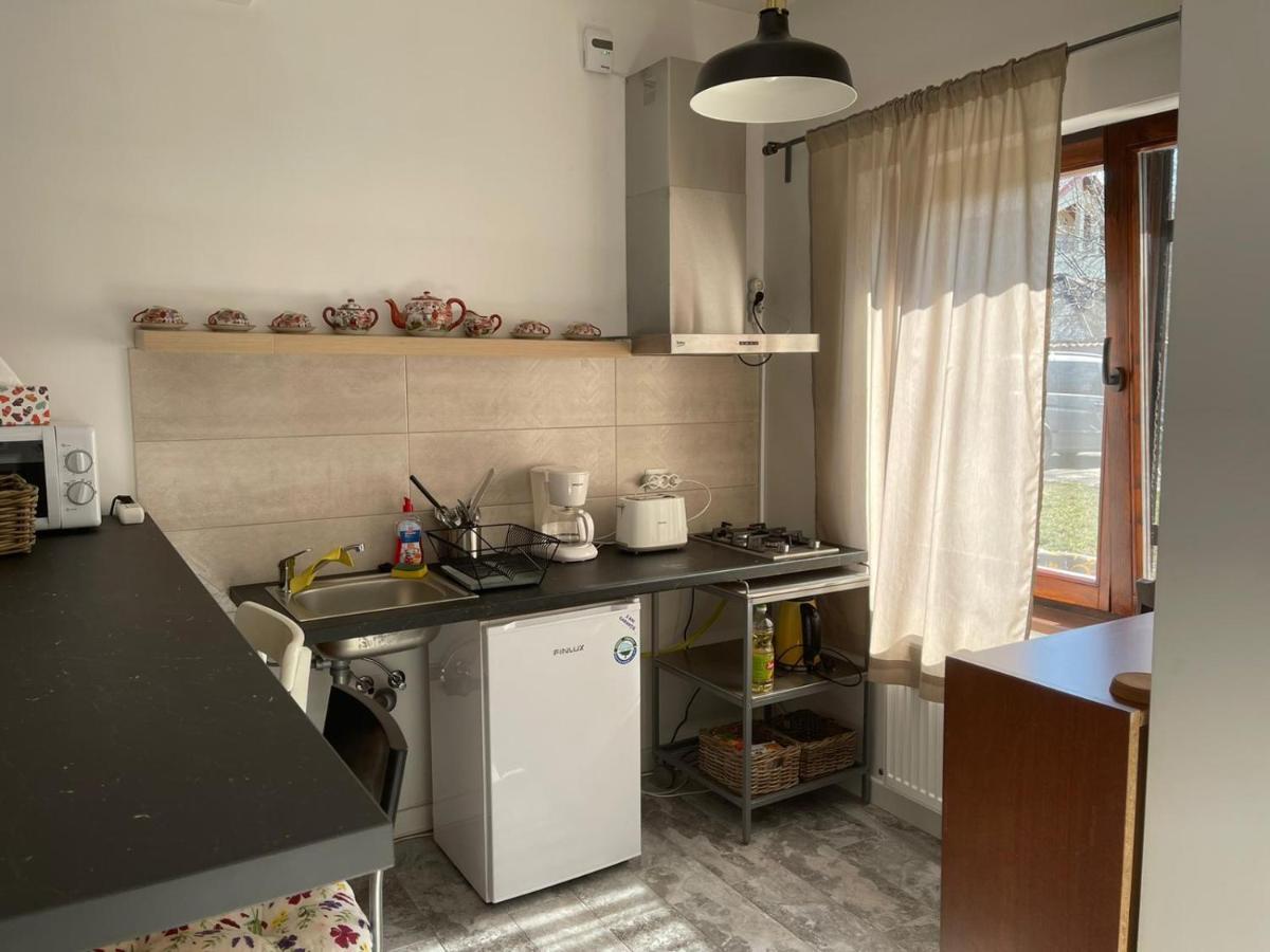 Tinamore Otopeni Bagian luar foto