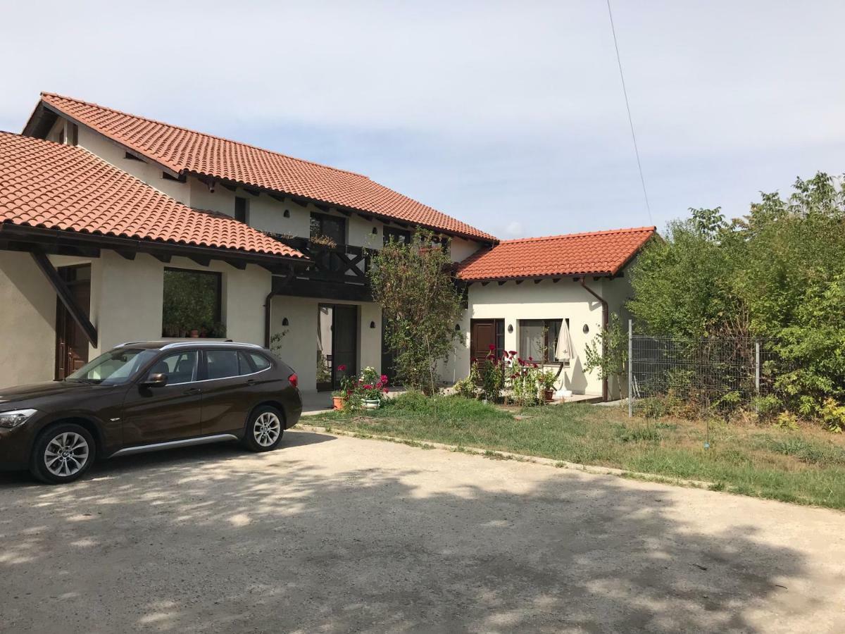 Tinamore Otopeni Bagian luar foto